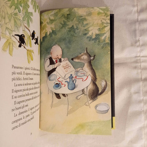 Storia di un signore piccolo piccolo