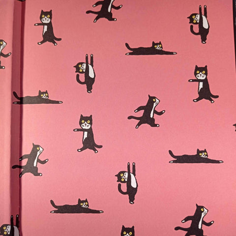 Peter the cat