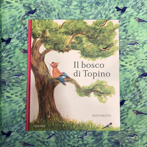 The Topino forest