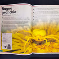 The magnificent book of insects and spiders