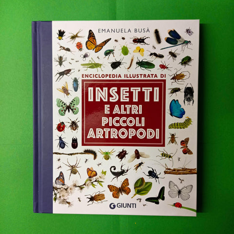Insects and other small anthropods