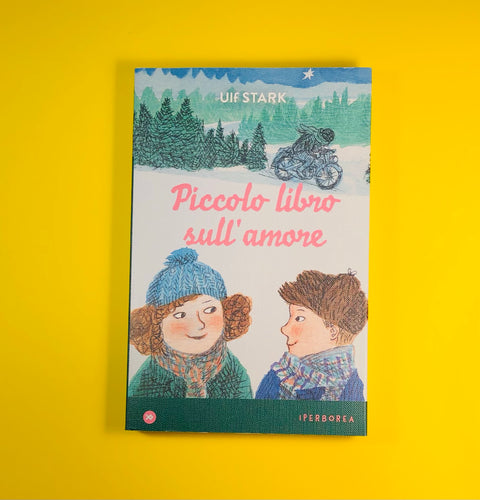 Piccolo libro sull'amore