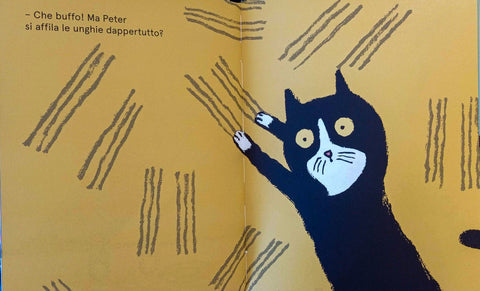 Peter the cat
